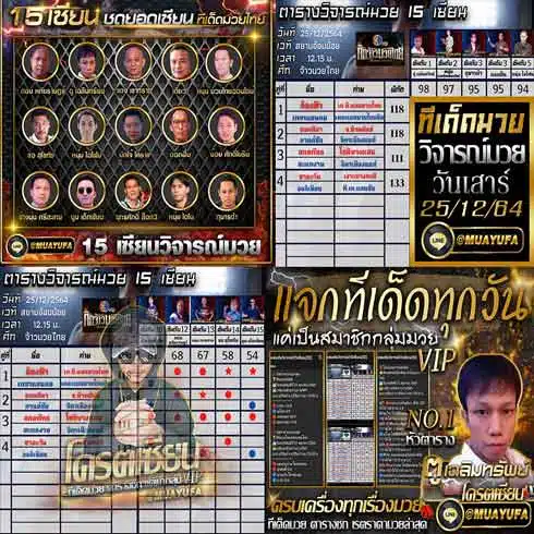 บทวิจารณ์ของเซียน 15 คน