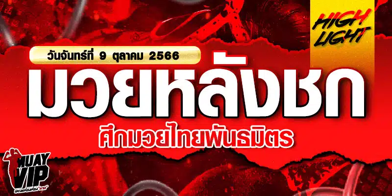 ไฮไลท์หลังชก