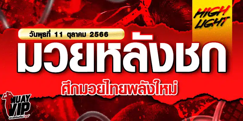 ไฮไลท์หลังชก