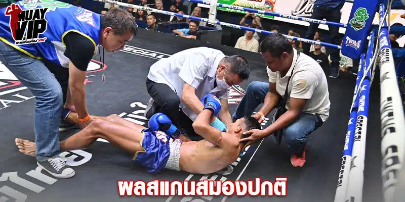 ข่าวมวยไทยแสนเอก